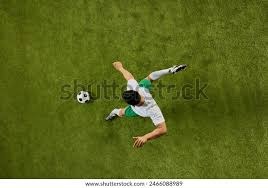 周琦近况、杨力维被裁、归化球员……中国篮协回应